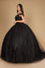 Quinceniera Dresses Long Ball Gown Quinceanera Floral Dress Black