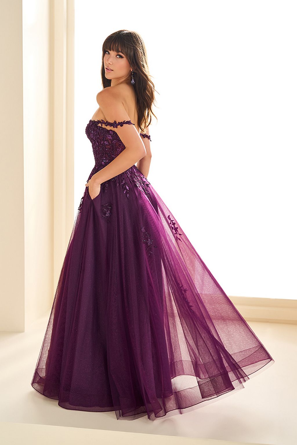 Ellie Wilde EW36083 A Line Lace Long Formal Prom Dress