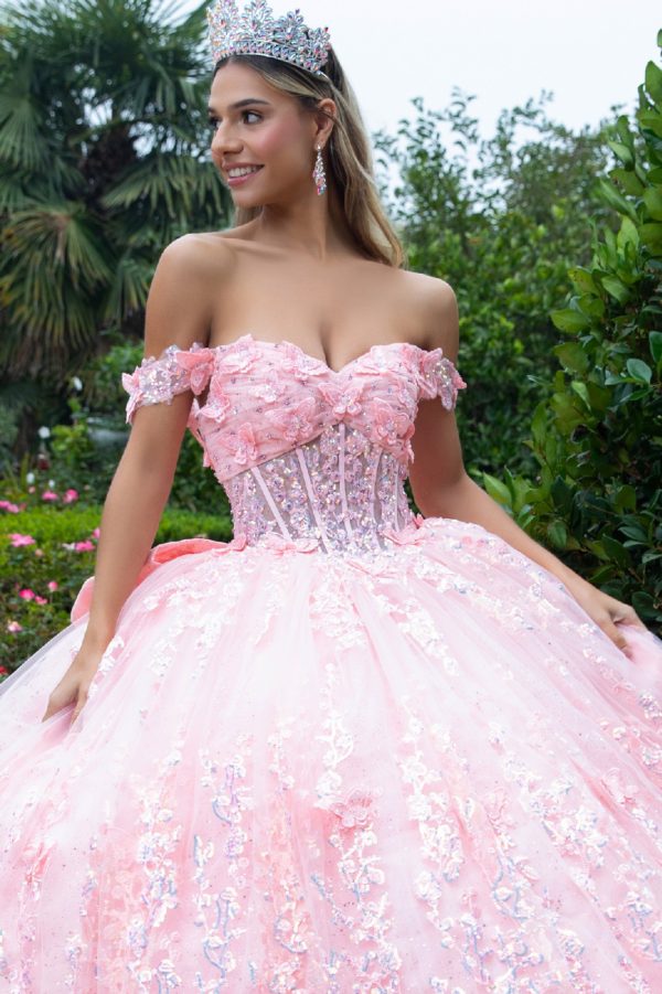 Quinceniera Dresses Long 3D Floral Applique Corset Quinceanera Dress Blush