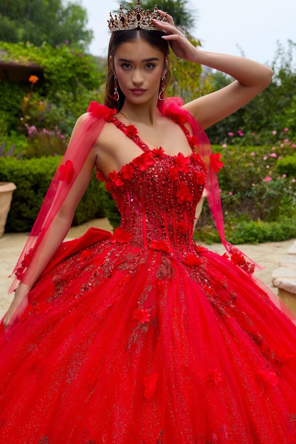 Quinceniera Dresses Glitter Applique Long Quinceanera Dress Red