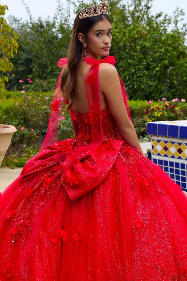 Quinceniera Dresses Glitter Applique Long Quinceanera Dress Red