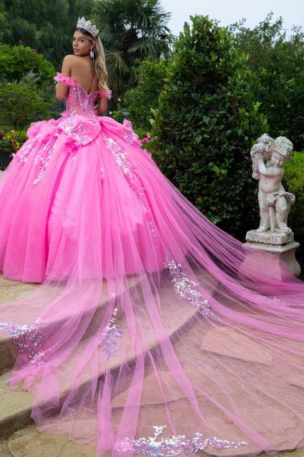 Quinceniera Dresses Glitter Long Ball Gown Corset Quinceanera Dress Pink