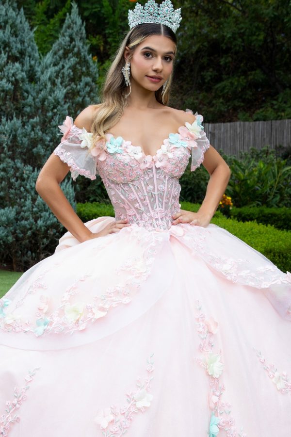 Quinceniera DressesLong Ball Gown Floral Applique Quinceanera Dress Blush