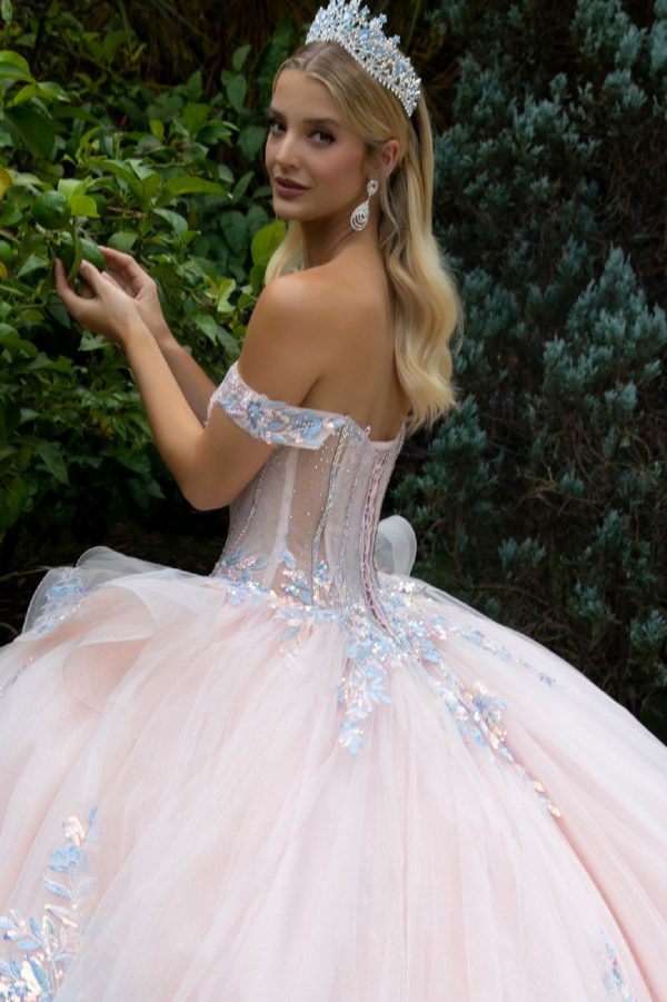 Quinceniera Dresses Glitter Sequin Ball Gown Sweet 16 Quinceanera Dress Blush
