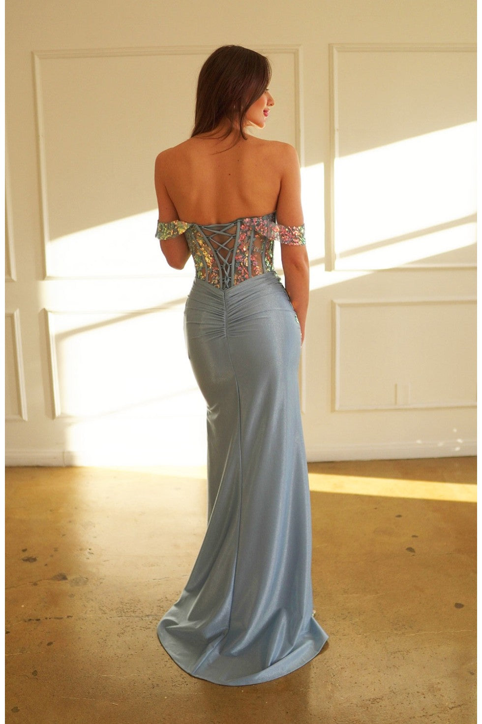 Prom Dresses Long Fitted Formal Lace Applique Prom Dress Dusty Blue