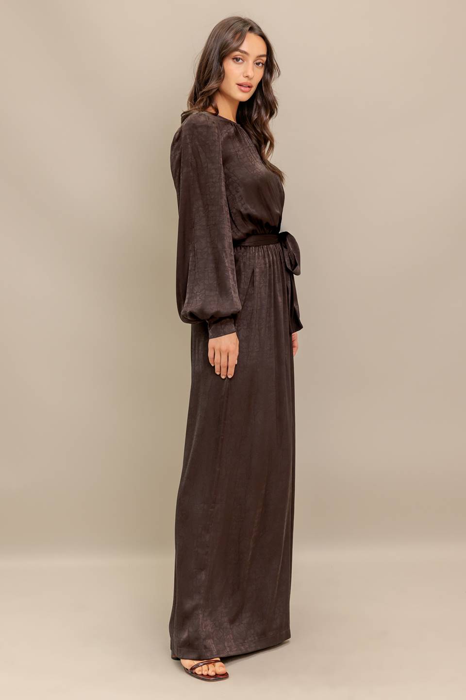 Jumpsuit Long Sleeve Velvet Formal Jumpsuit Brown