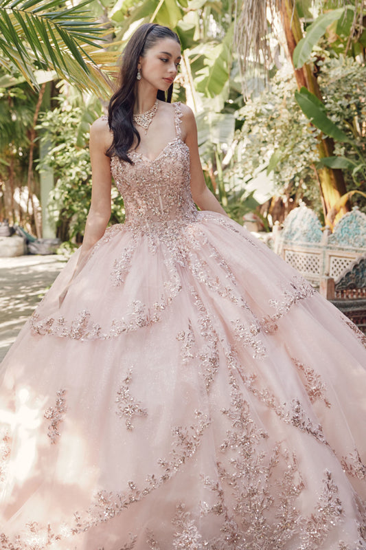 Juliet JT1450J Glitter Quinceanera Long Ball Gown