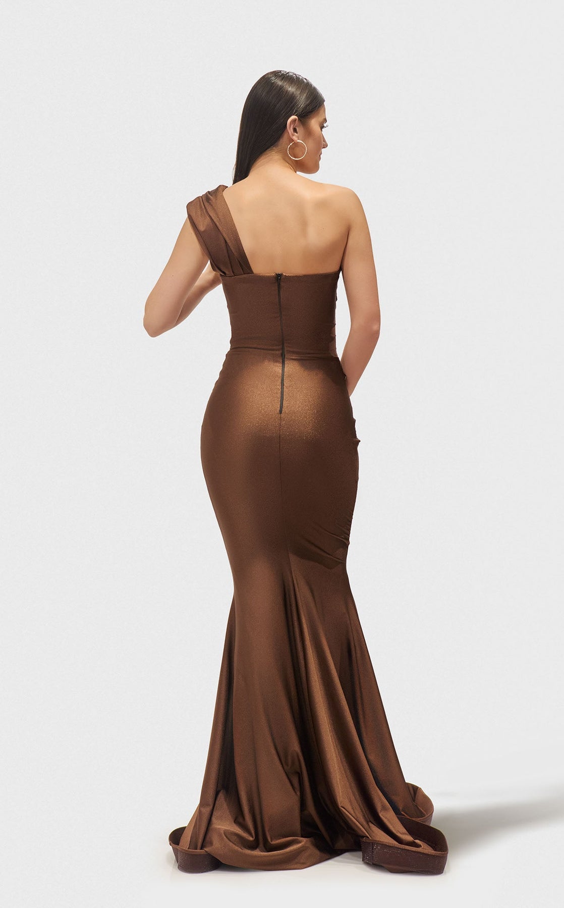 Prom Dresses Evening Formal Fitted Long Prom Dress Chocolate