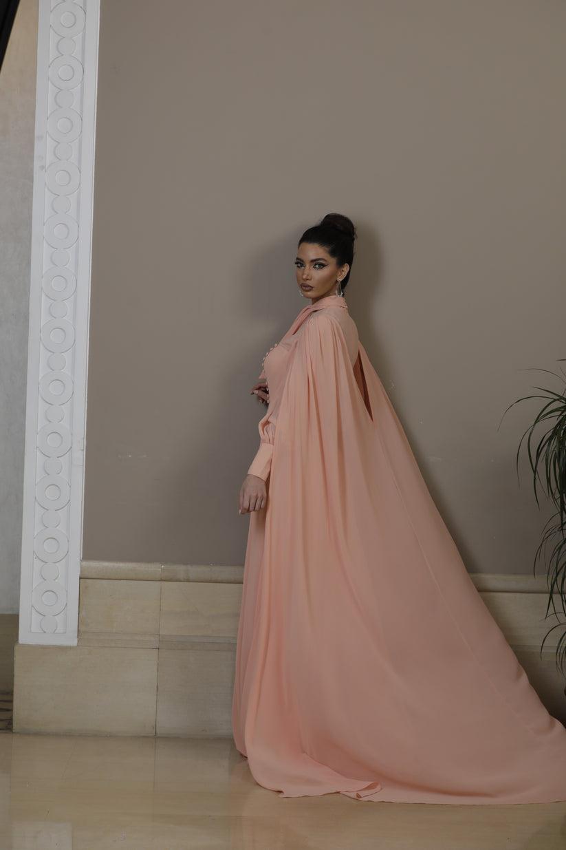 Formal Dresses A Line Long Evening Formal Dress Salmon