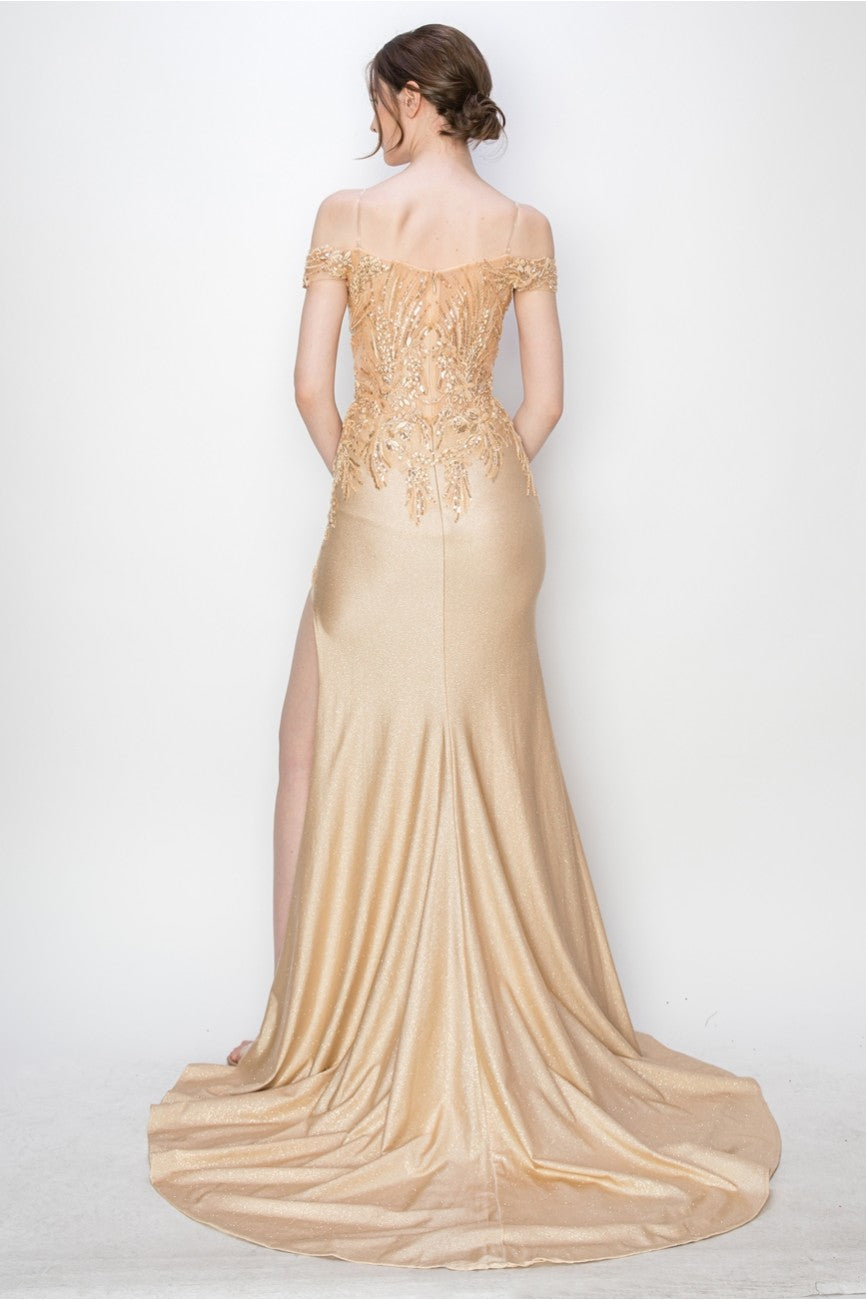 Prom Dresses Prom Long Formal Glitter Applique Dress Champagne