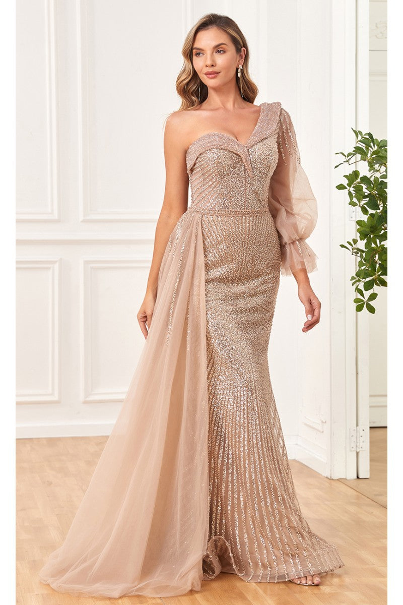 Formal Dresses Sequin Long Beaded Formal Evening Dress Gold