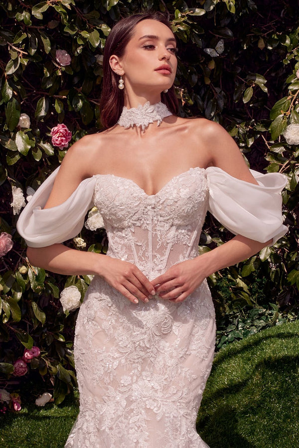Wedding Dresses