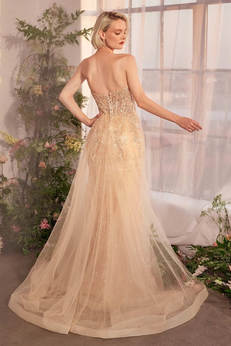 Prom Dresses Long Formal Glitter Overskirt Prom Dress Champagne
