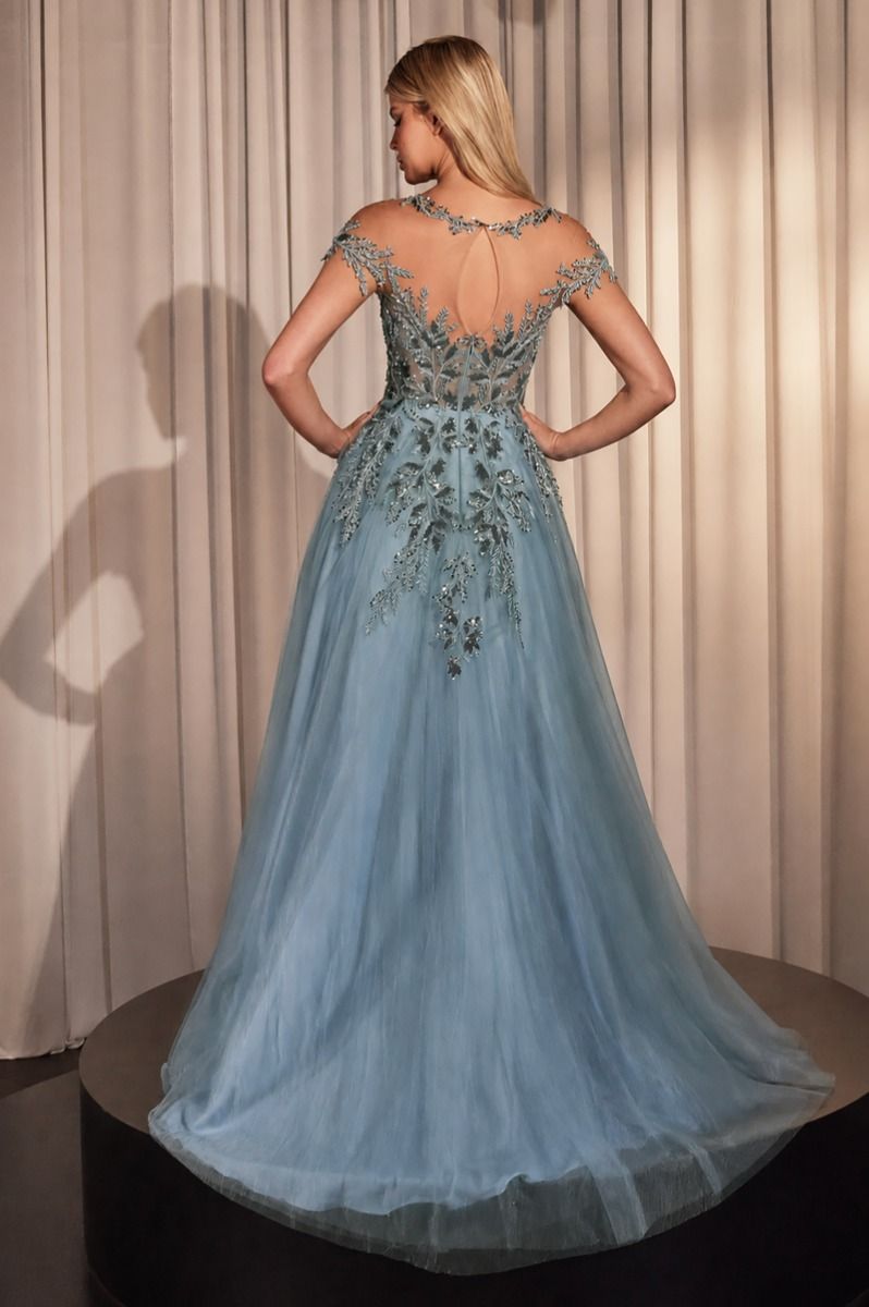 Illusion Floor-Length Tulle Occasion Ball Gown Andrea & Leo A1475