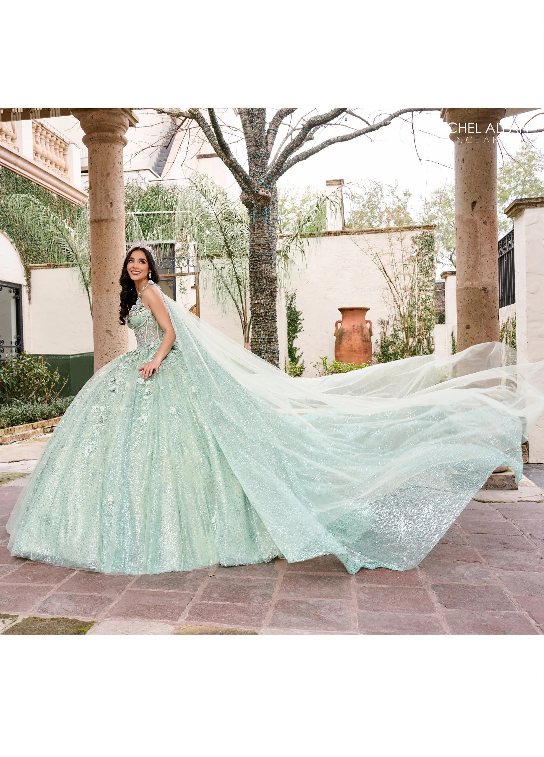 Sage Sweetheart Floor Length Sequin Tulle Quinceanera Ball Gown with Floral Applique Rachel Allan RQ3135
