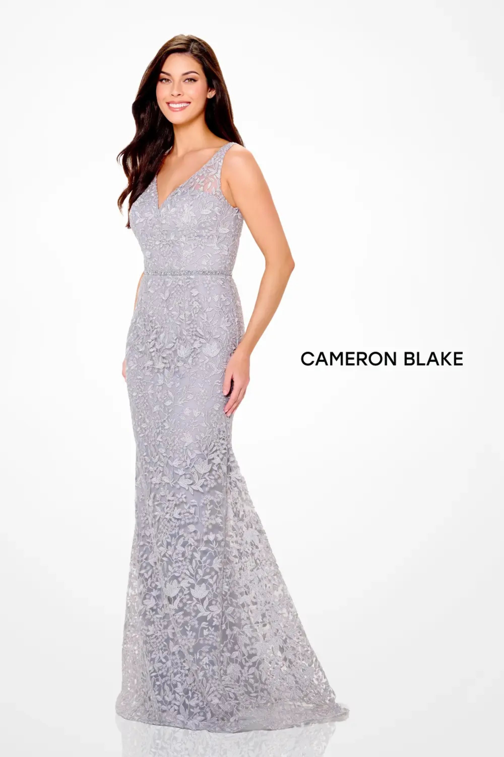 Formal Dresses Mermaid Long Lace Formal Evening Dress Platinum