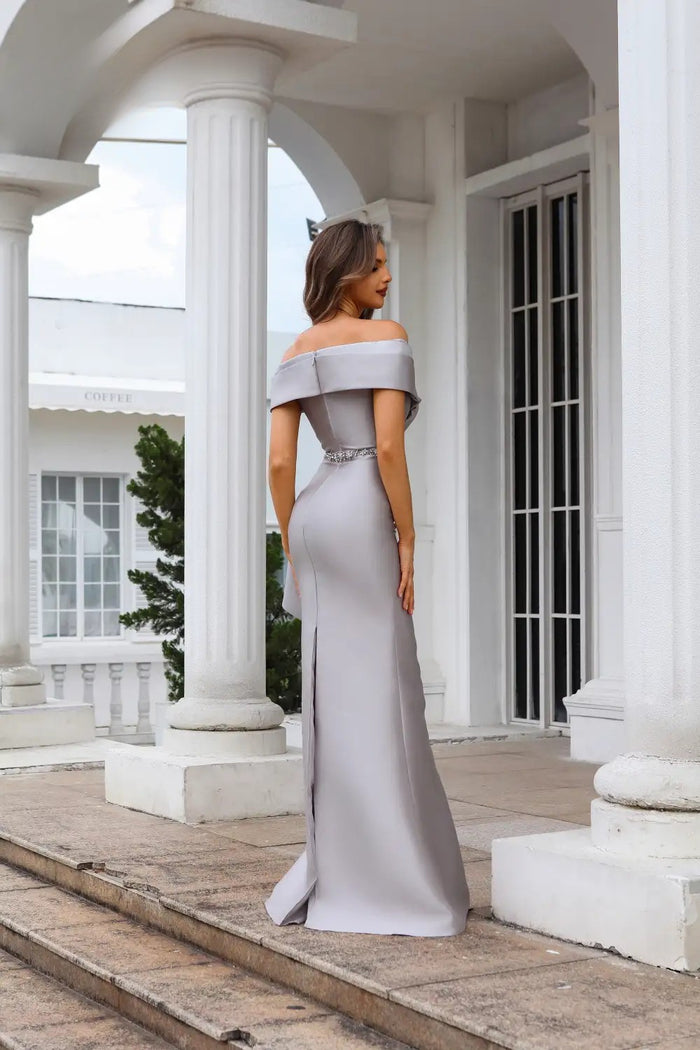 Formal Dresses Long Evening Gown Fitted Formal Dress Taupe Silver