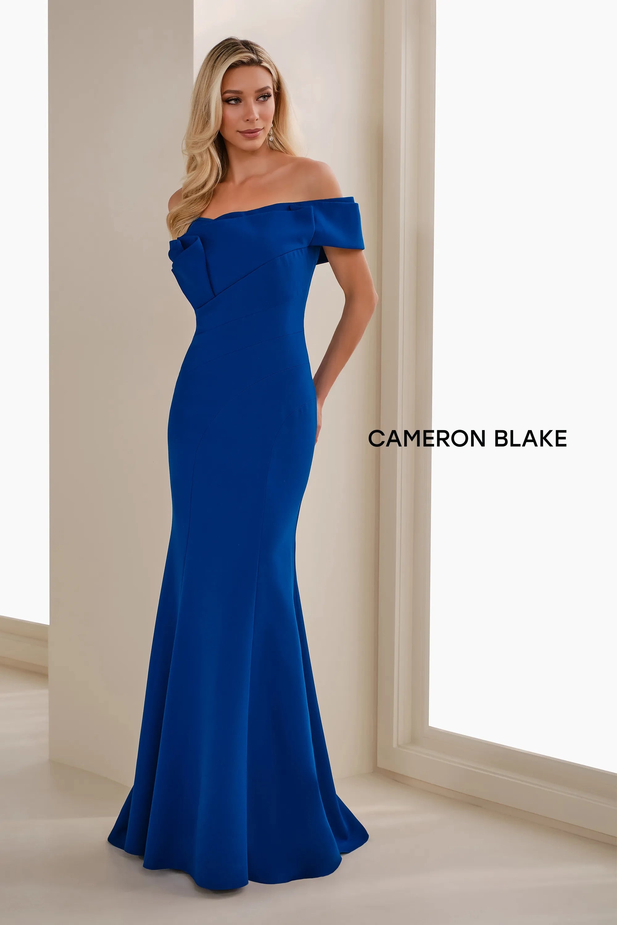 Formal Dresses Long Mermaid Formal Evening Dress Royal Blue