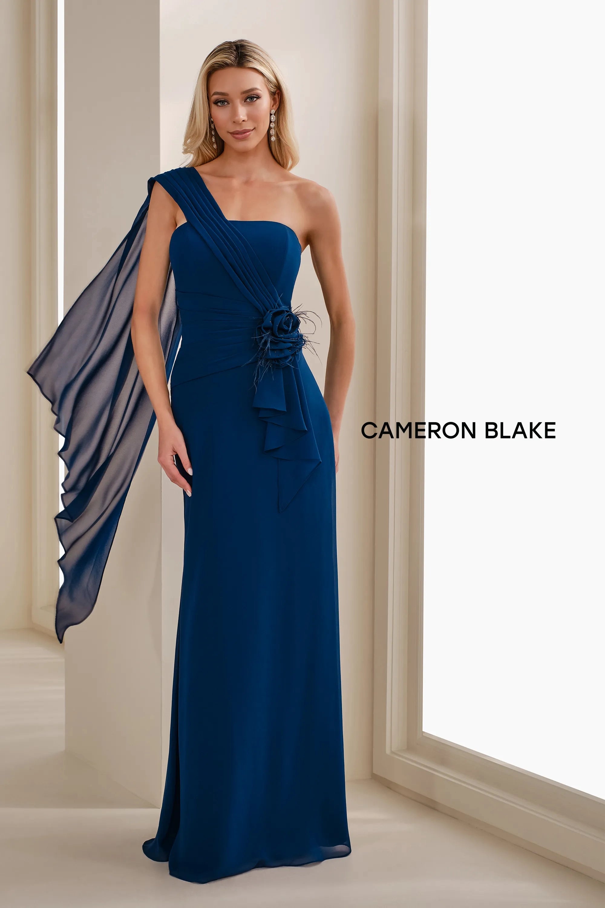 Formal Dresses Pleated Long Formal Feather Evening Gown Blue Willow