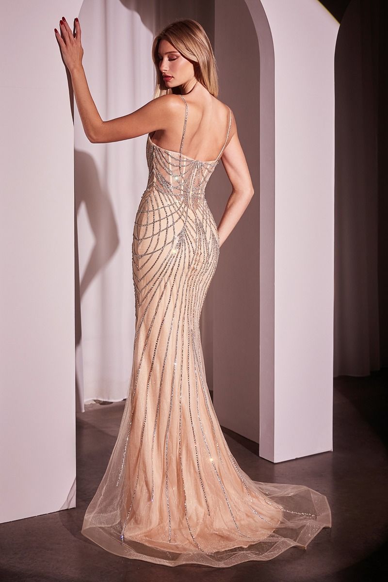 Prom Dresses Beaded Long Formal Prom Dress Silver Nude