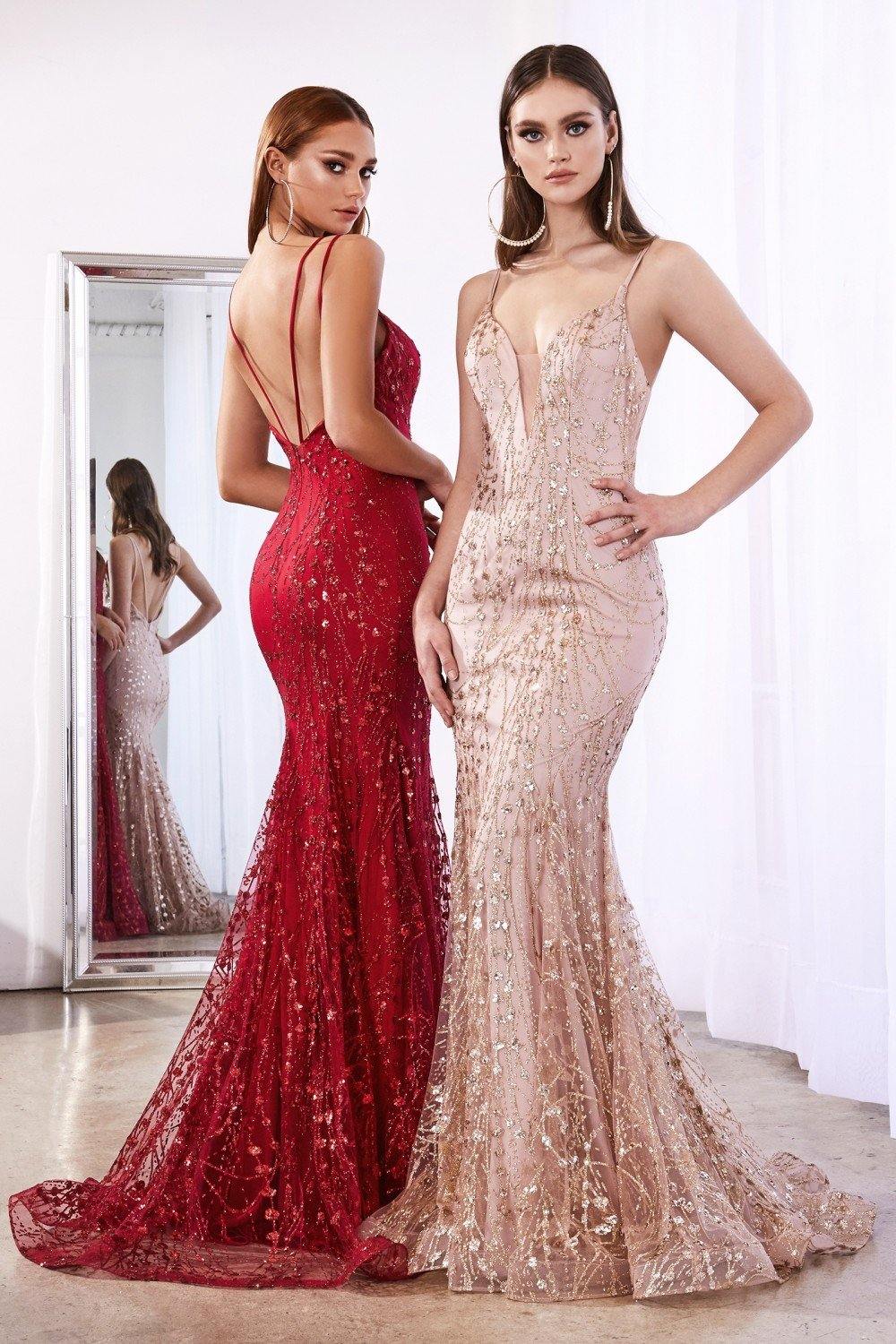 Sexy Prom Long Dress - The Dress Outlet