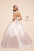 Embroidered Ball Gown Long Prom Dress - The Dress Outlet Nox Anabel