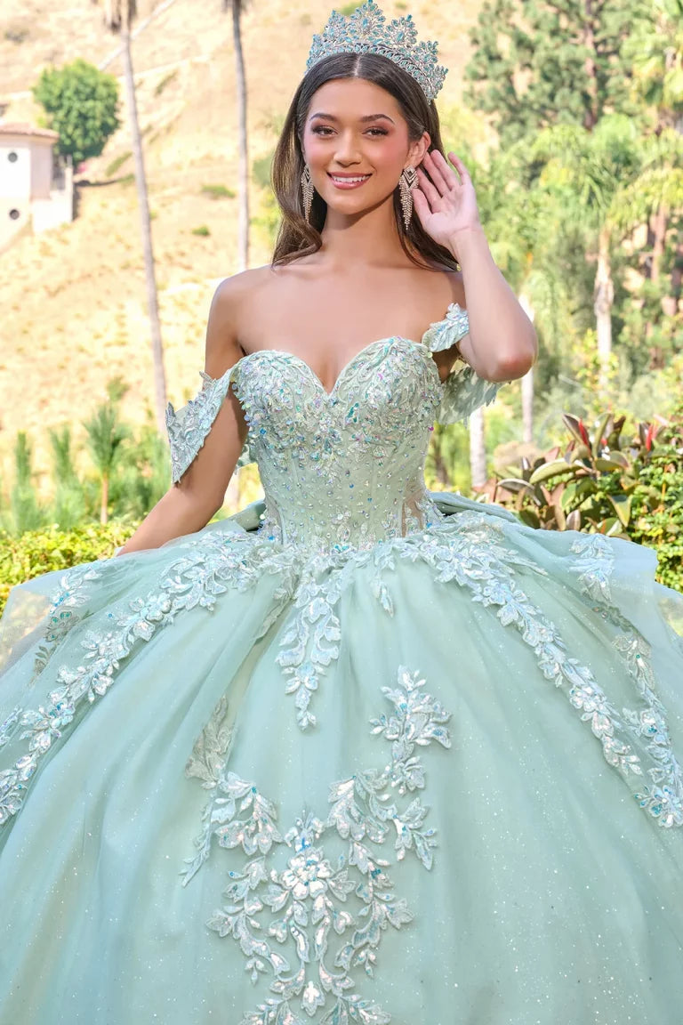 Quinceniera Dresses Glitter Beaded Corset Long Sequin Ball Gown Quinceanera Dress Sage