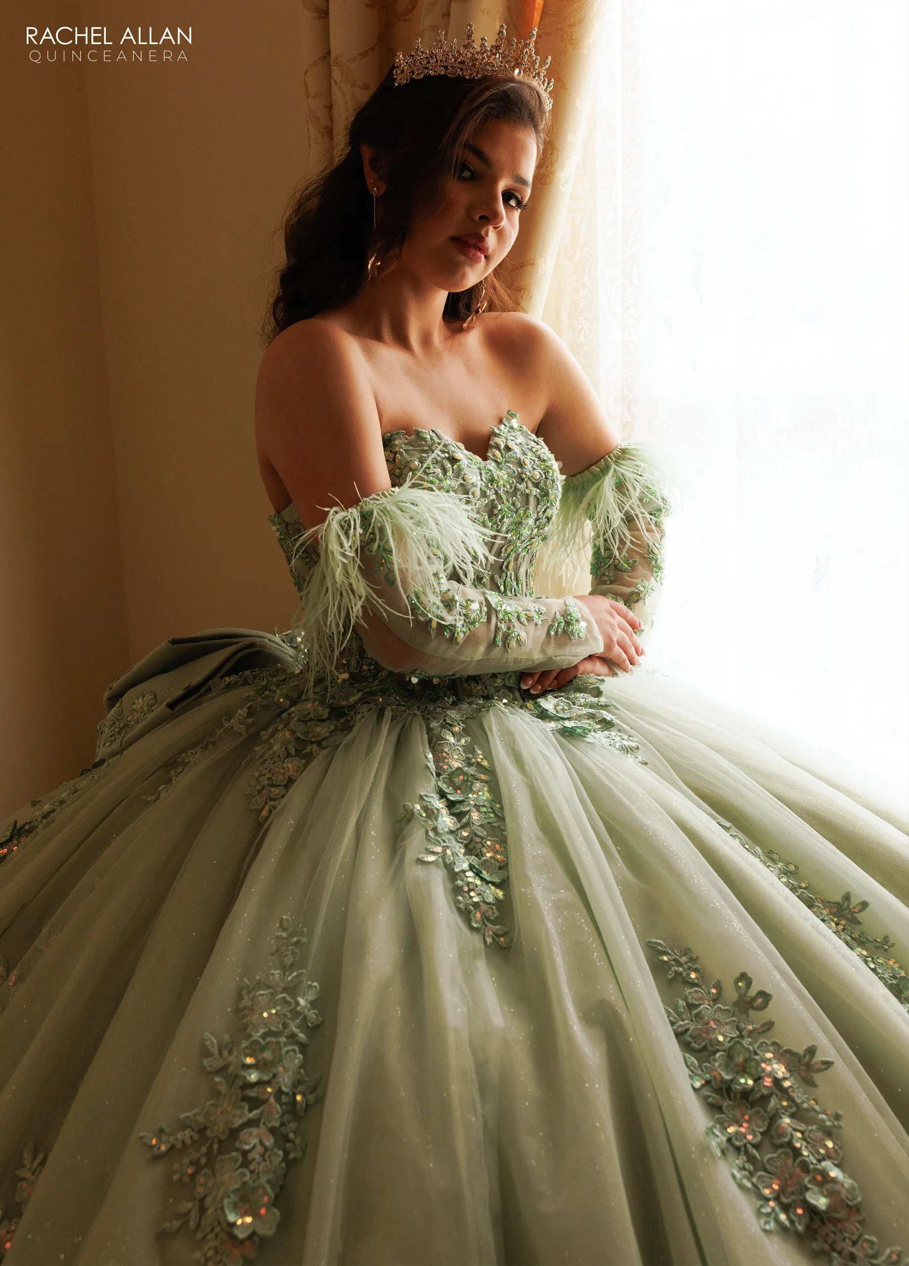 Sage Sweetheart Floor-Length Glitter Tulle Quinceanera Ball Gown with Detachable Feather Sleeves Rachel Allan RQ2171
