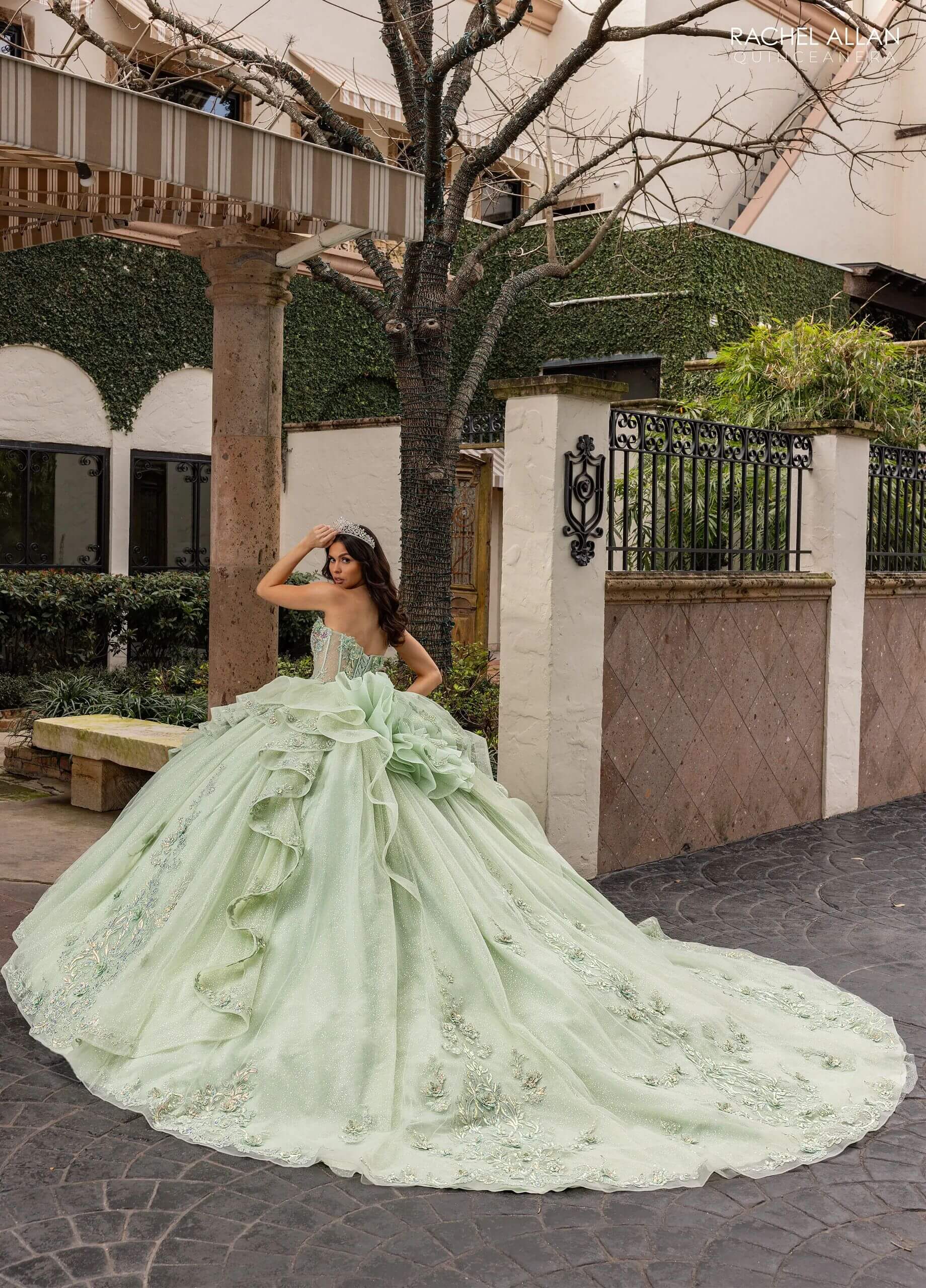 Sage Iridescent Illusion Floor Length Glitter Tulle Quinceanera Ball Gown with Cap Sleeves and Floral Back Bow Rachel Allan RQ3163