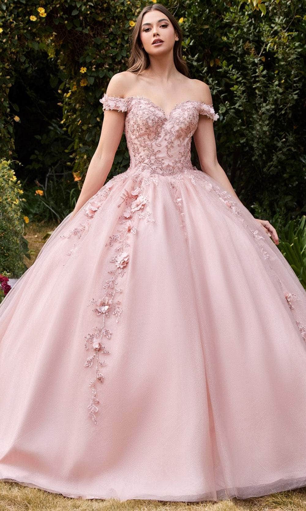 Quinceañera Dresses Floral Sequin Embellished Long Quinceañera Ball Gown Blush