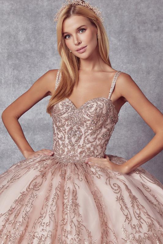 Long Quinceanera Glitter Mesh Ball Gown - The Dress Outlet