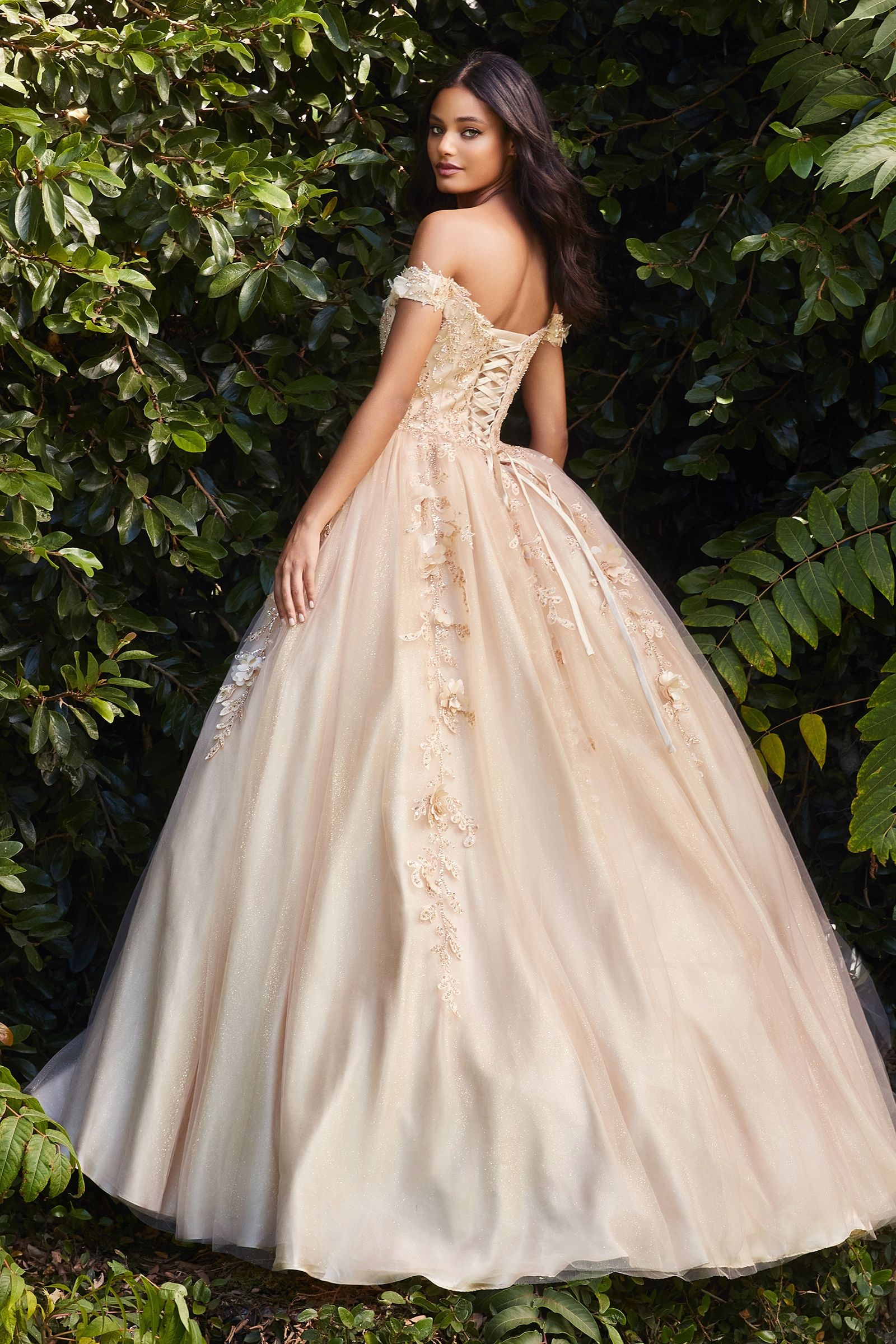 Quinceañera Dresses Floral Sequin Embellished Long Quinceañera Ball Gown Champagne