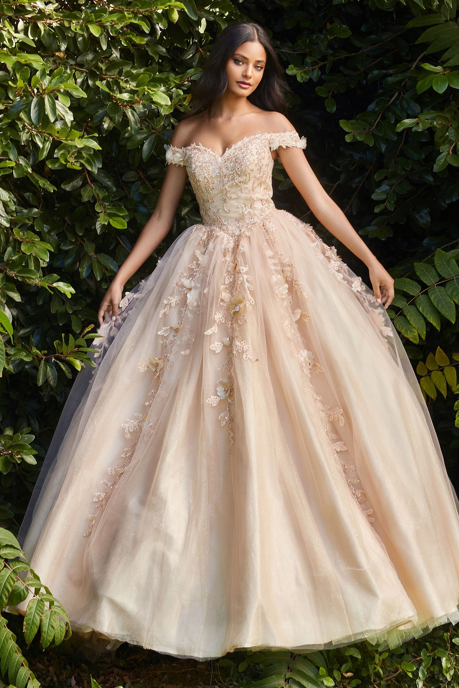 Quinceañera Dresses Floral Sequin Embellished Long Quinceañera Ball Gown Champagne