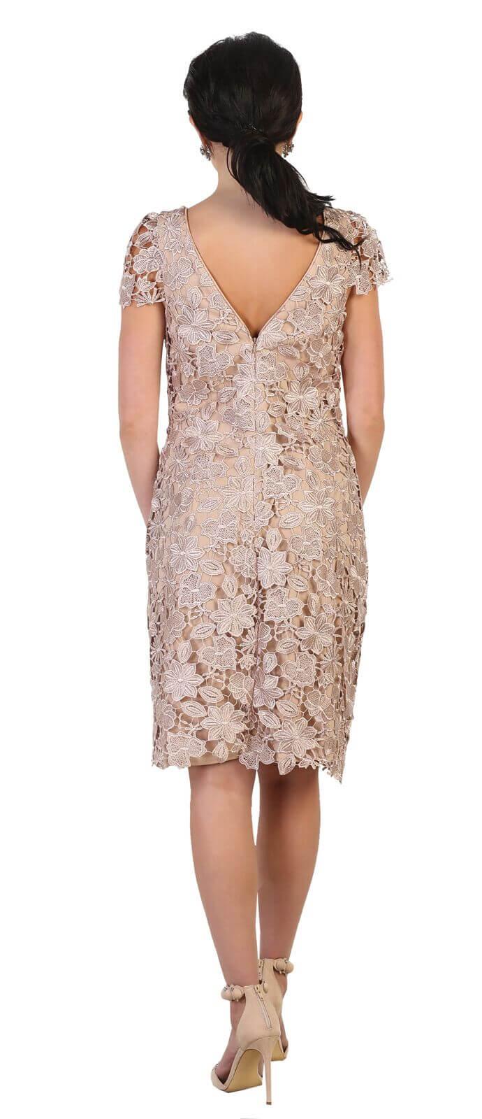 Short Plus Size Mother of the Bride Lace Dress - The Dress Outlet May Queen