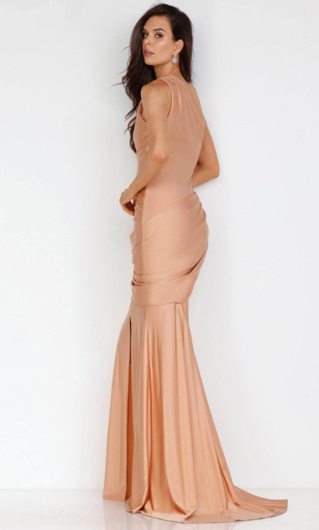 Prom Dresses Slit Long Formal Fitted Prom Dress Rose
