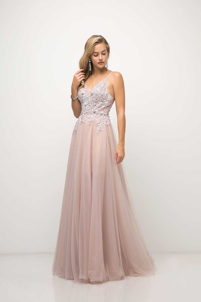 Prom Dresses Formal Long Applique Fitted Evening Dress Blush