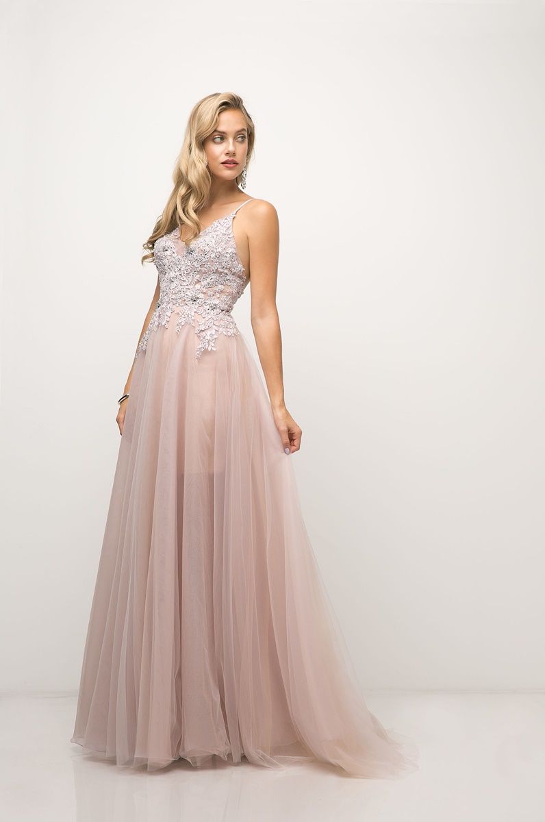 Prom Dresses Formal Long Applique Fitted Evening Dress Blush