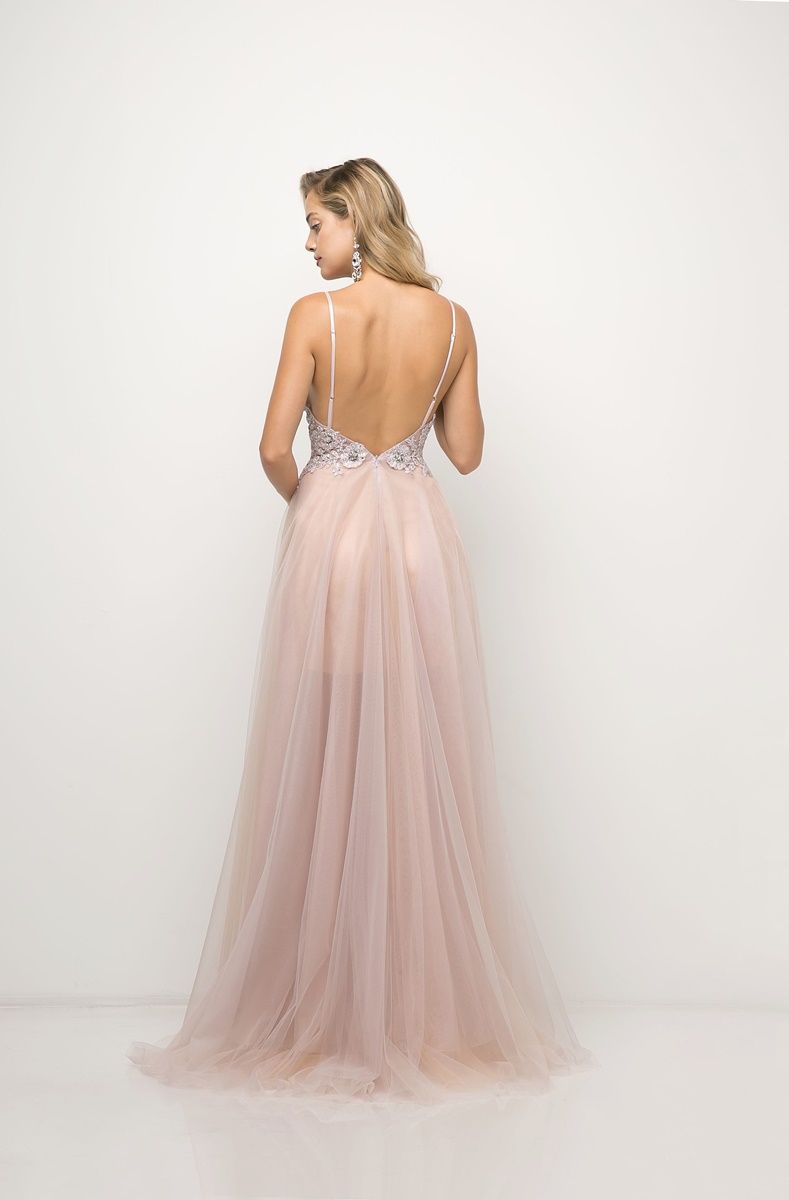 Prom Dresses Formal Long Applique Fitted Evening Dress Blush