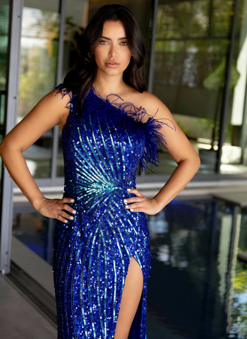 Prom Dresses Long Sequin Prom Feather Formal Dress Royal Blue