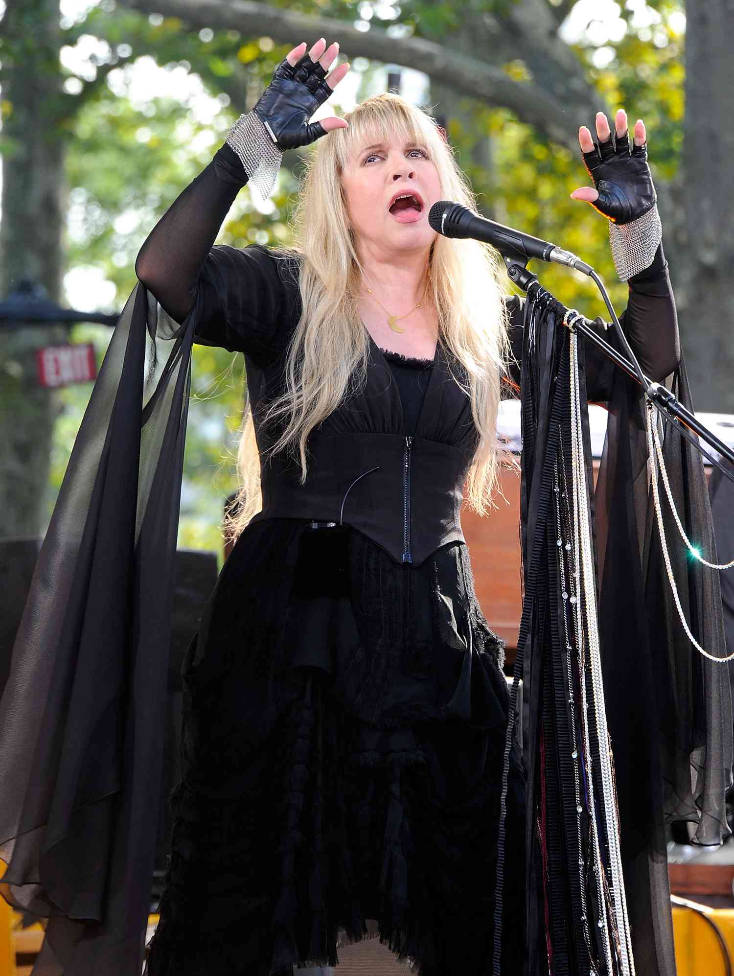 Stevie Nicks Dresses: Dreams Draped in Lace, Velvet & Moonlight