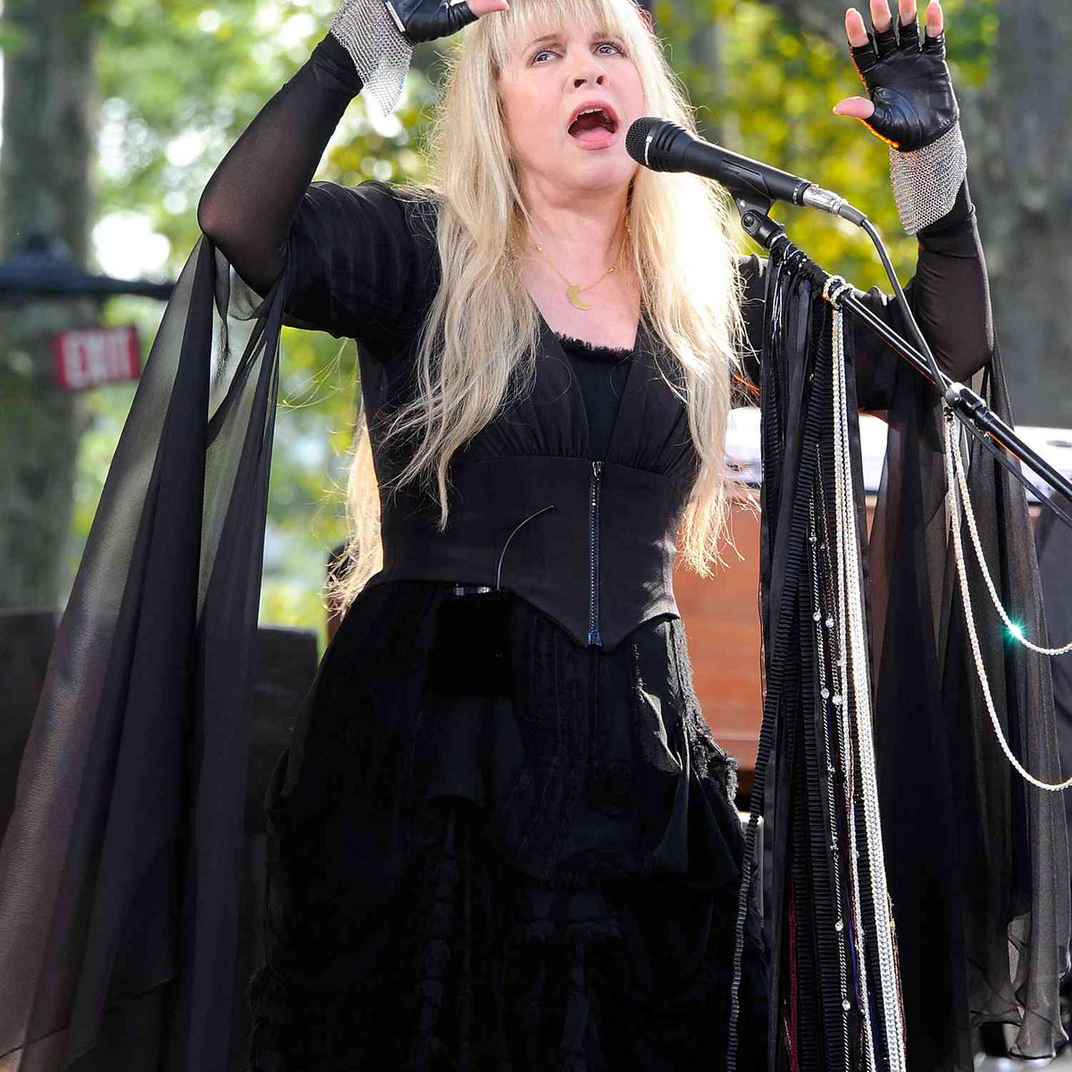 Stevie Nicks Dresses: Dreams Draped in Lace, Velvet & Moonlight The Dress Outlet Stevie Nicks Dresses: Dreams Draped in Lace, Velvet & Moonlight The Dress Outlet