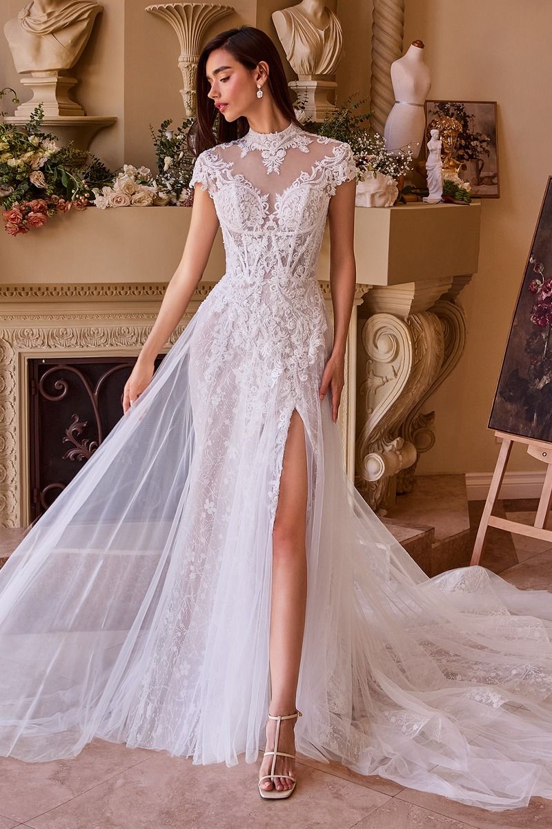 Wedding Dress Rental 