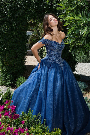 Off-the-Shoulder Floor-Length Tulle Formal Ball Gown Eureka Fashion 9300