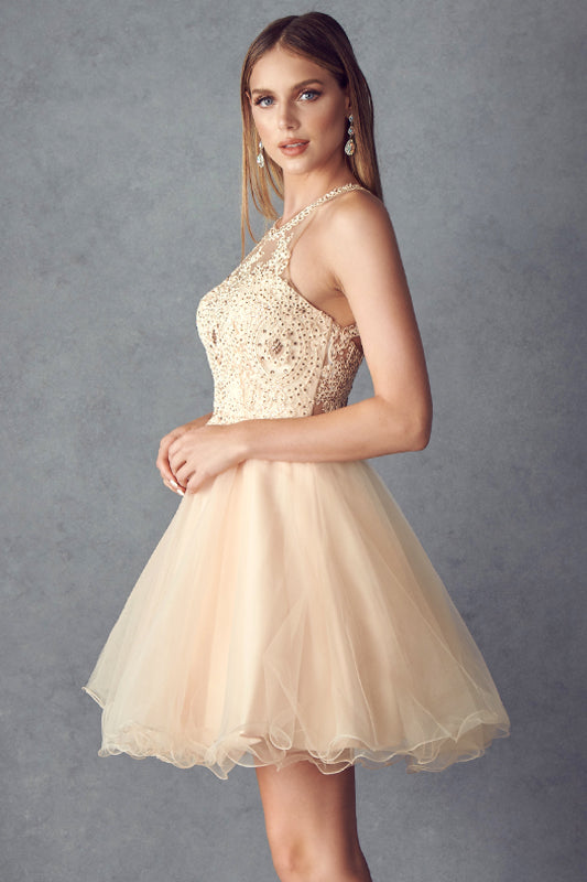 Homecoming Dresses Short Homecoming Fitted Cockail Beaded Dress Champagne