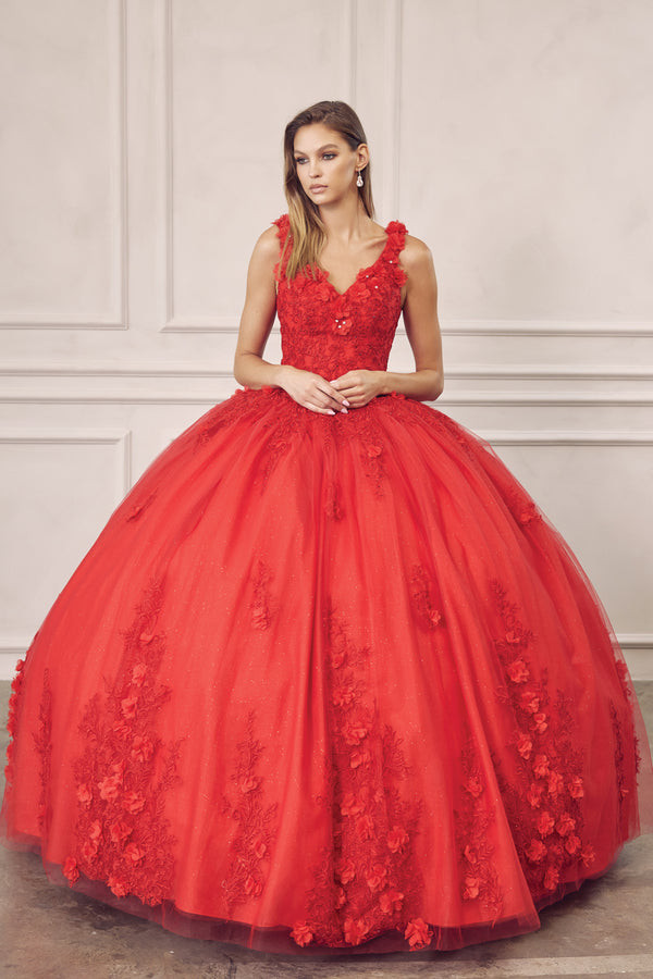 Long 3D Floral Applique Ball Gown Quinceanera Dress Juliet JT1437