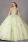 Quinceniera Dresses 3D Flower Long Quinceanera Ball Gown Sage Green