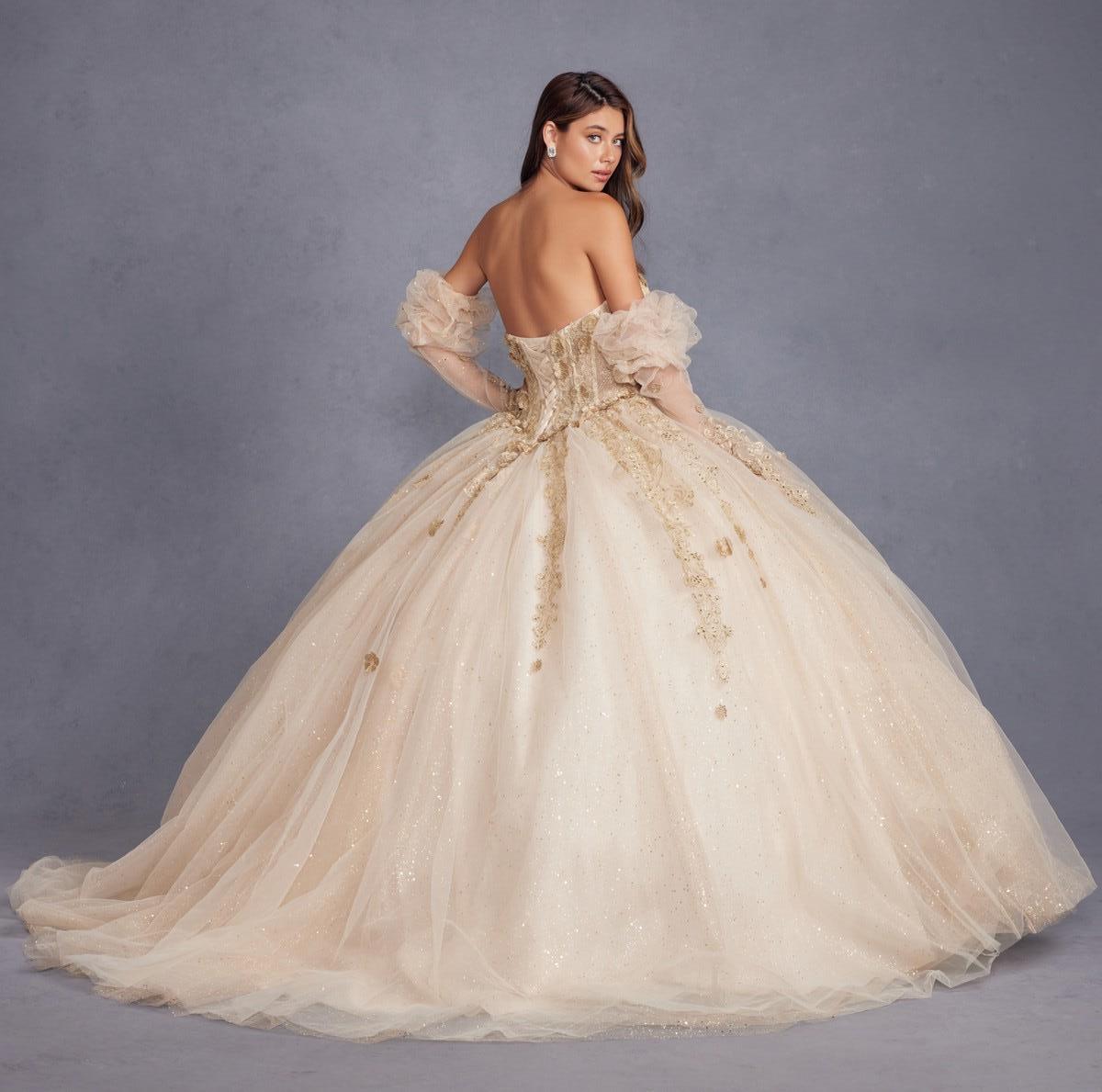 Juliet JT1465H Long Ball Gown 3D Floral Sweet 16 Quinceanera Dress
