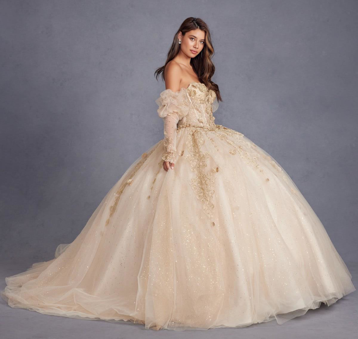 Juliet JT1465H Long Ball Gown 3D Floral Sweet 16 Quinceanera Dress