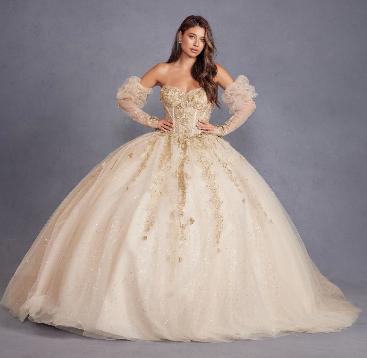 Juliet JT1465H Long Ball Gown 3D Floral Sweet 16 Quinceanera Dress