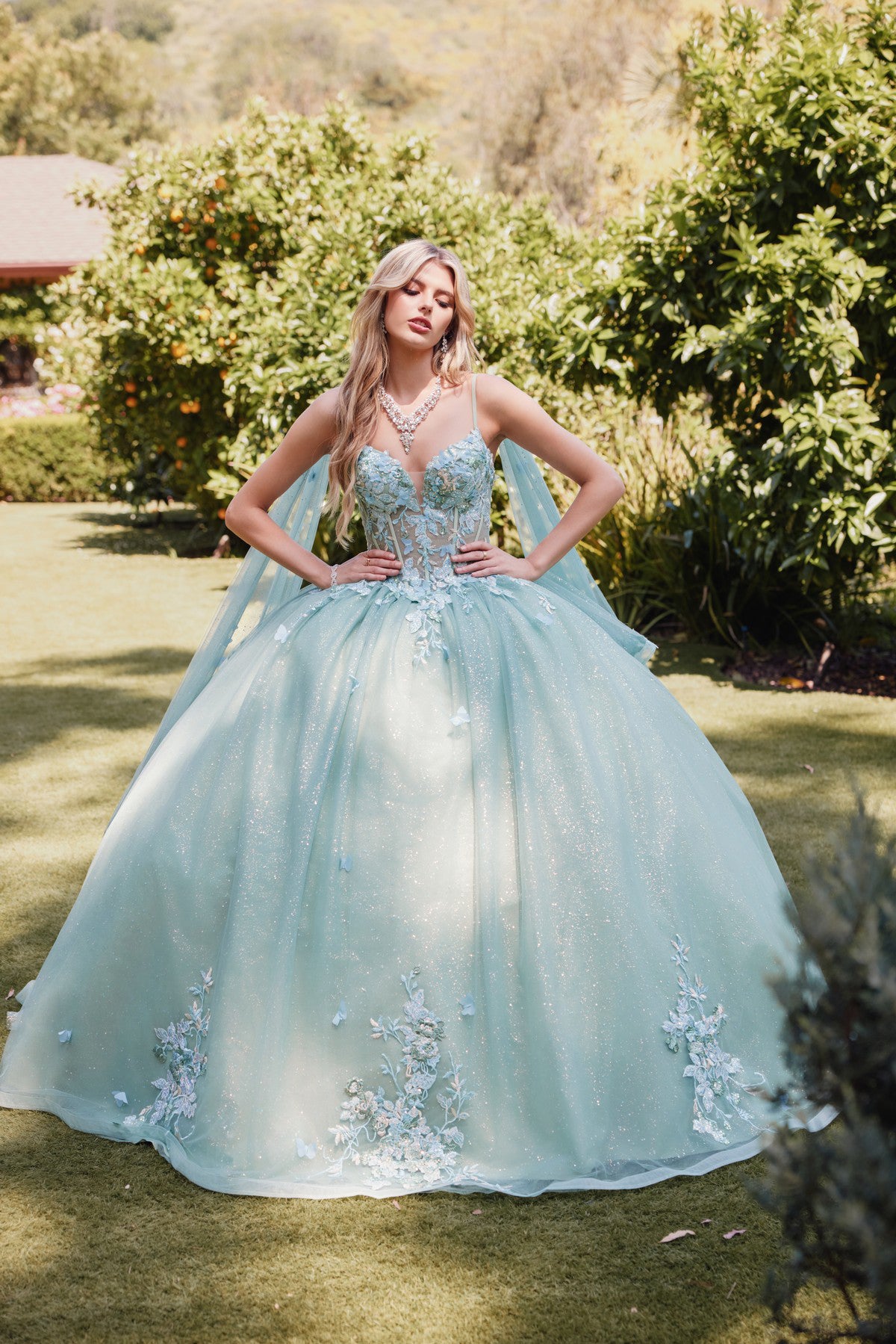 Juliet JT1466H Beaded Long Ball Gown Glitter Floral Applique Quinceanera Dress
